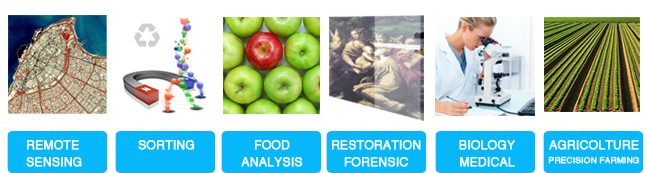 embossing-interna - dvoptic.com